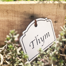 Load image into gallery, featureImg